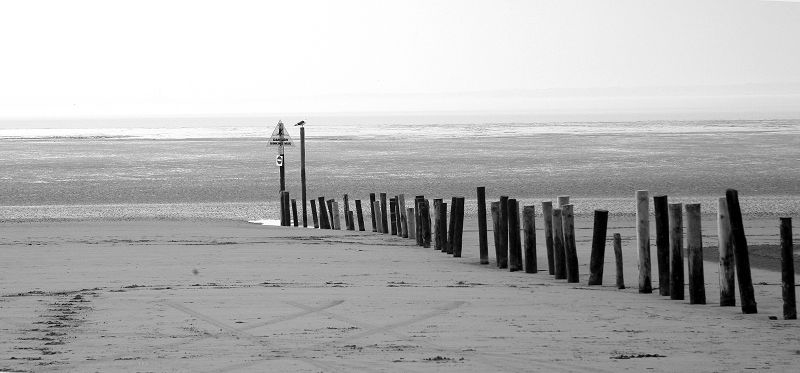 Weston Beach Posts 2007